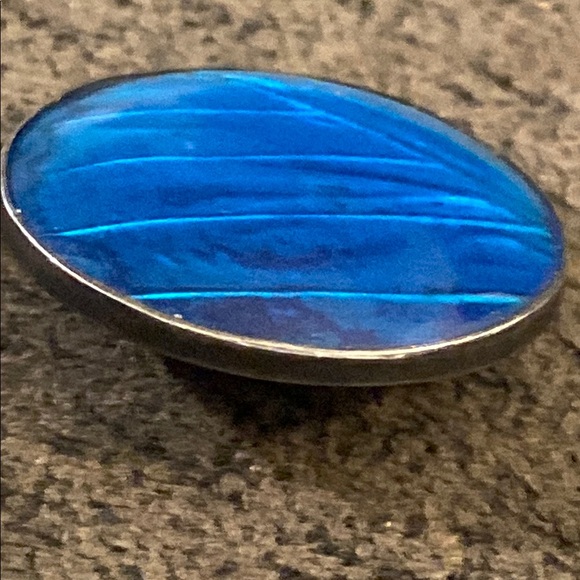 Morpho Butterfly Wing
Elegant Blue Round Brooch - Picture 5 of 10